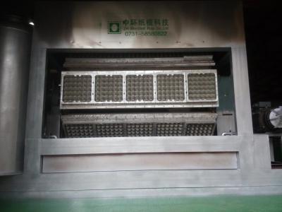 中国 高効率のパルプ・エッグ・トレイ・マシン 完全自動回転式 販売のため