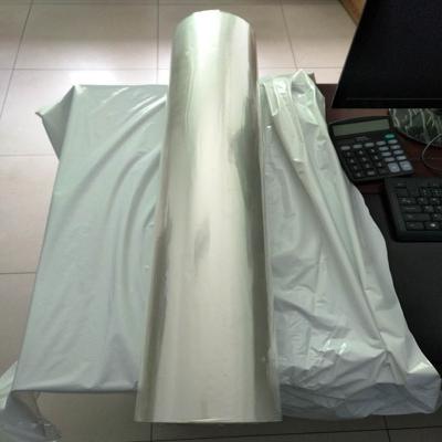 Chine Feuille de plastique biodégradable transparente, longueur du petit pain 500-1500m de feuille de plastique pour l'empaquetage à vendre