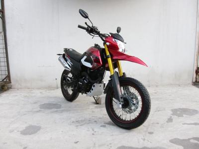 China 4 Stroke Street Legal Off Road Motorcycle Powerful Engine For Family Leisure for sale