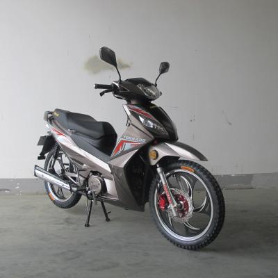 China 7500RPM CDI Ignition TR135-NF 135CC Cub Motorcycle for sale