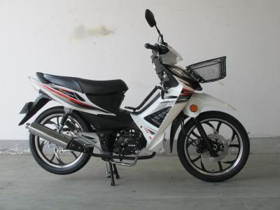 Chine 4 moto manuelle de sport de l'embrayage 110cc CUB de course à vendre