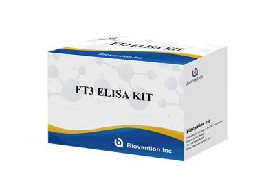 China FT3 Elisa Test Kit 110 Minutes Free Triiodothyronine T3 Free Blood Test for sale