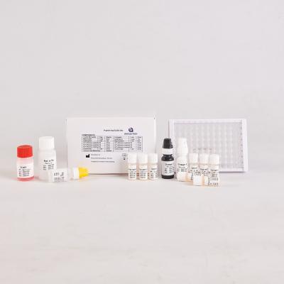 Chine Pour les laboratoires ou les hôpitaux, kit d' ELISA HP à haute précision pour Helicobacter pylori humain à vendre