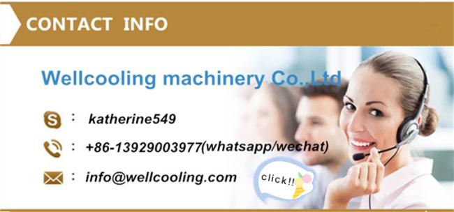 Low Cost Refrigeration Frozen Cold Storage for Kitchen Use