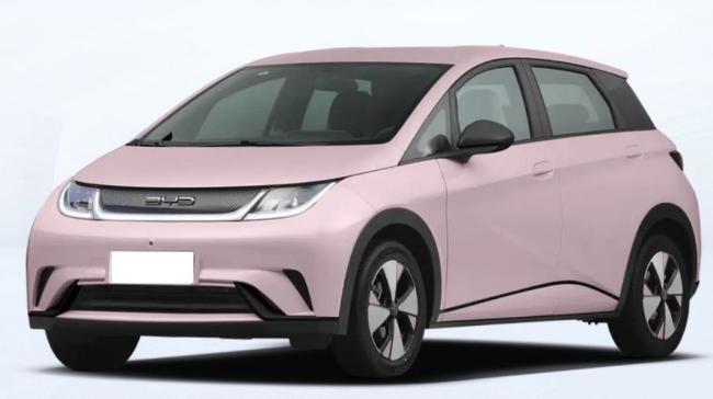 USA 2023 Grey 4WD Haitun Byd Dolphin New EV Electric