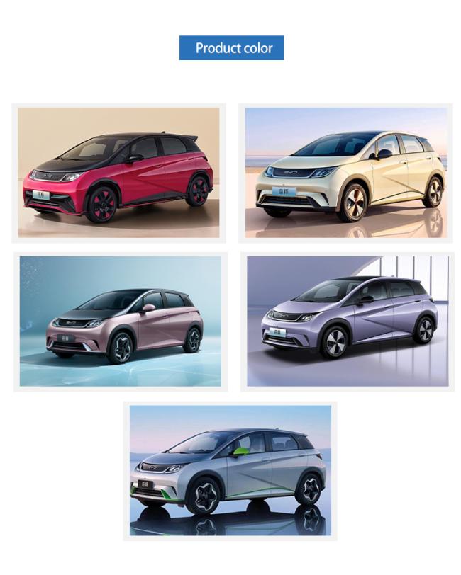 New Energy Vehicles Byd Dolphin Pure Electric Coupe with Commemorative Edition PRO