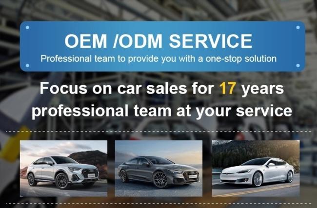 Voyah Free 2024 Intelligent Driving 5 Seats Reev Electric SUV Car