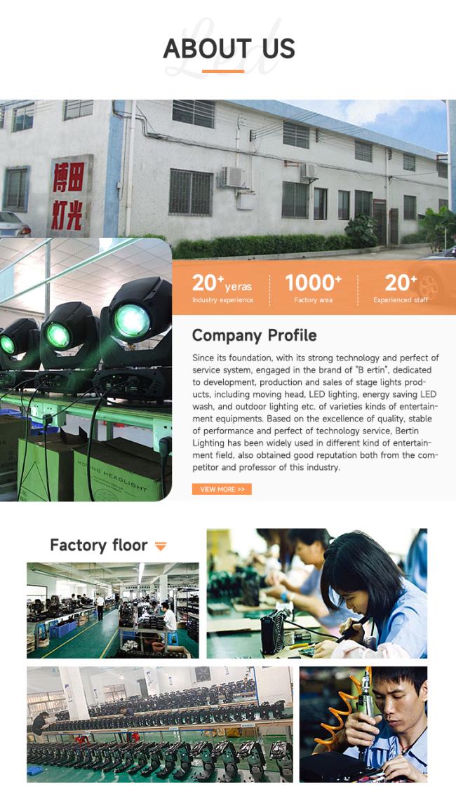 Bertin Lighting company overview