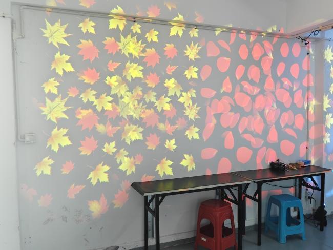 Multiple Projector Setup