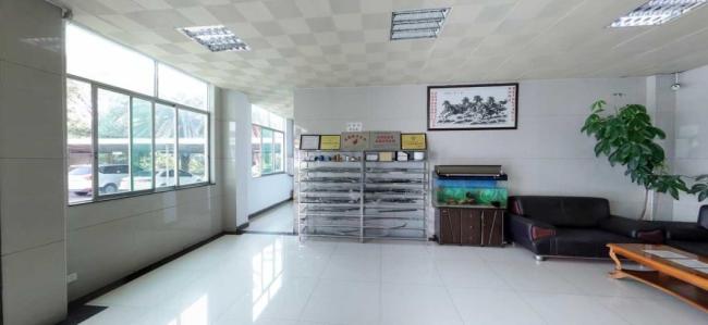OEM or ODM Quality of The Motorcycle Right Brake Cable for King