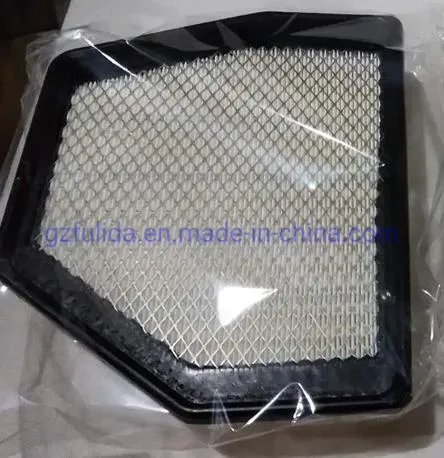 Opell air filter packaging example showing neutral bag and carton