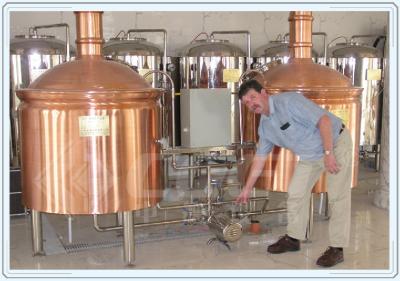 China Industrial Fermentation Tank Small Beer Brewery Equipment Red Copper Material for sale