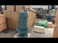 WQ sewage submersible pump