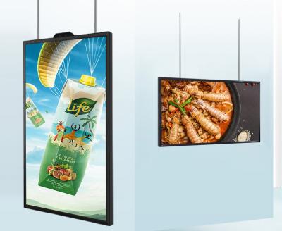 China 43 polegadas bom preço luz solar legível estreito Design Bezel Janela Visando tela Alto brilho Publicidade Player TV display à venda