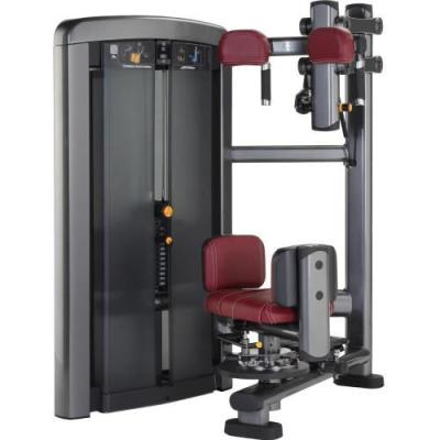 China Bodybuilding New Life Fitness Equipment Oval Tube Rotary Torso Exercise Machine for sale