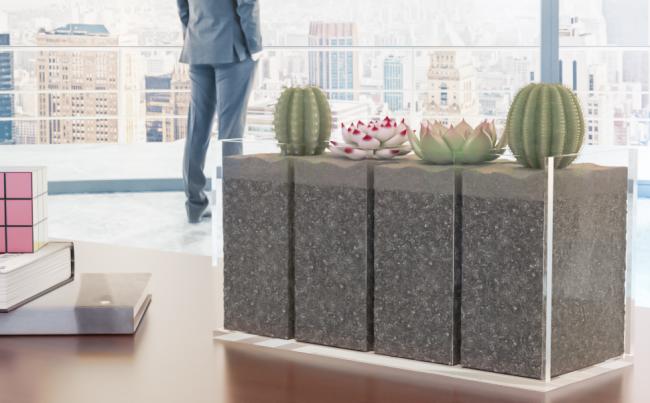 Creative Space Utilization, use it as a Mini Succulent Pot