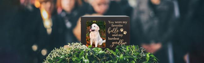 Dog Urns for Ashes