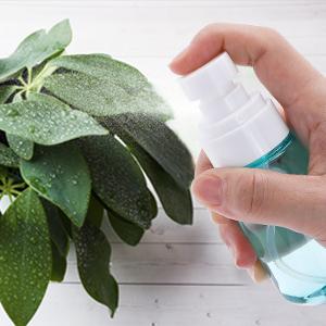 Watering Indoors