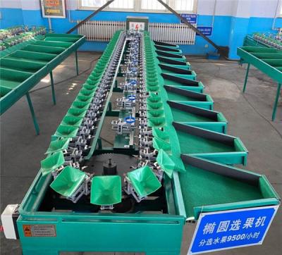 China cucumber grading machine, mango sorting machine, apple orange grading machine for sale
