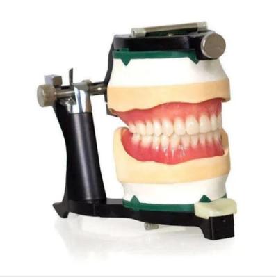 China SJ Dental Lab Equipment Small Adjustable Denture Magnetic Articulator High Quality Dental Articulators for sale