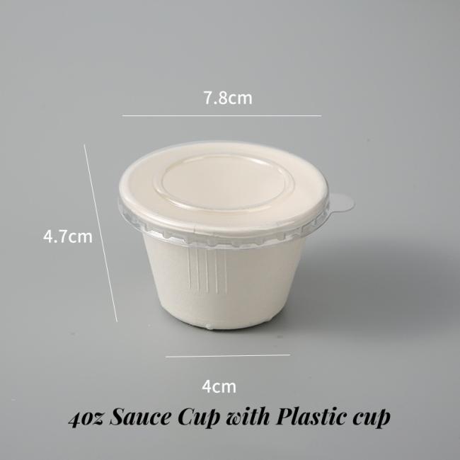Sugarcane Bagasse Compostable 4oz Sauce Cup