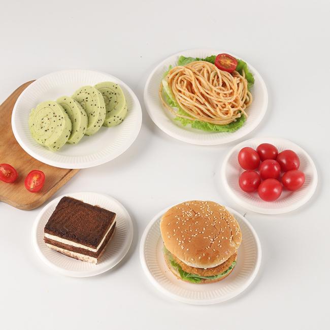 Disposable Products Food Packaging Cake Sugarcane Pulp Plate Square Plate