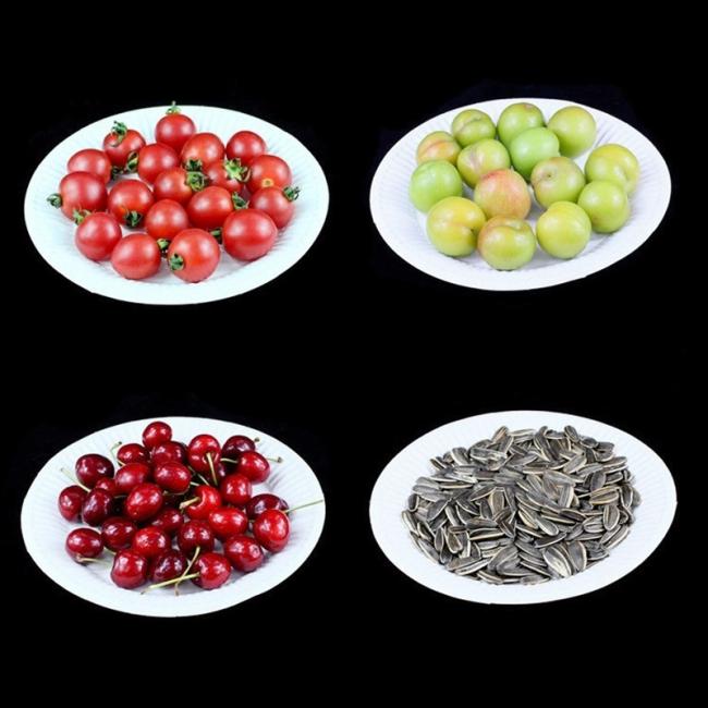 Eco-Friendly Biodegradable Paper Pulp Food Plate Paper Food Containers