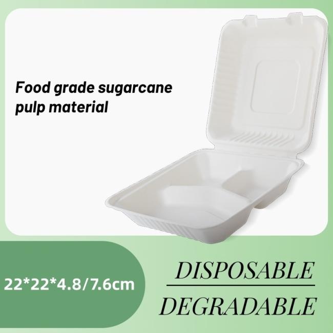 Biodegradable Sugarcane Pulp Take out Food Container 3 Compartment Food Container