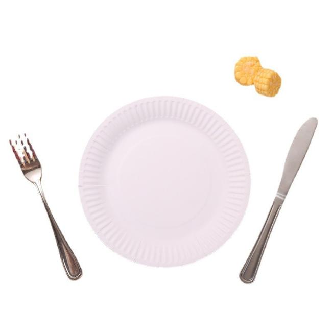 Customized Disposable Paper Plate Customize High Quality Takeaway Plates