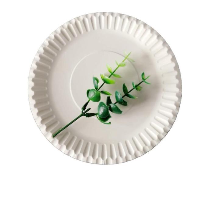 Eco-Friendly Biodegradable Sugarcane Pulp Paper Plate for Camping or Wedding