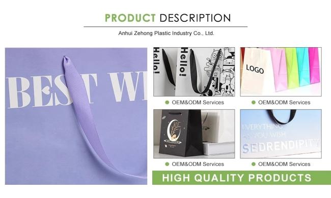 Custom Printed Logo Luxury Clothing Packaging Paper Bags Boutique Gift Bags