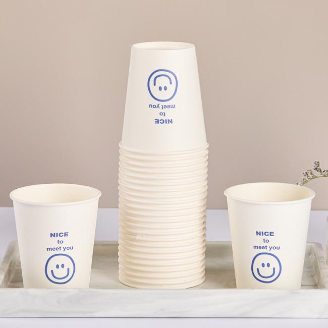 250ml 100% Biodegradable Disposable Paper Cup