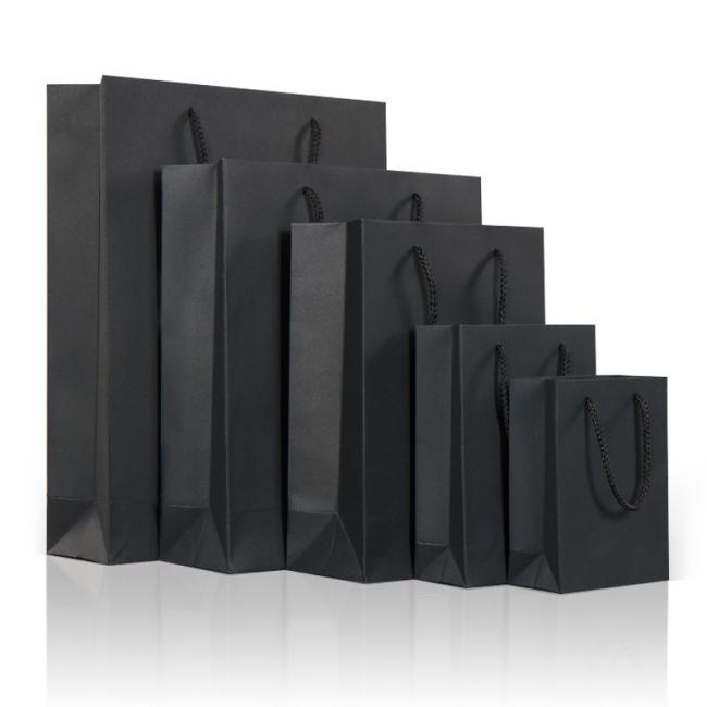 Biodegradable Packaging Custom Printing Paper Gift Handbag