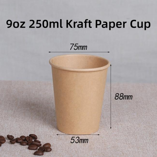 Factory Customized Disposable Kraft Paper Cup for Cold/ Hot Water