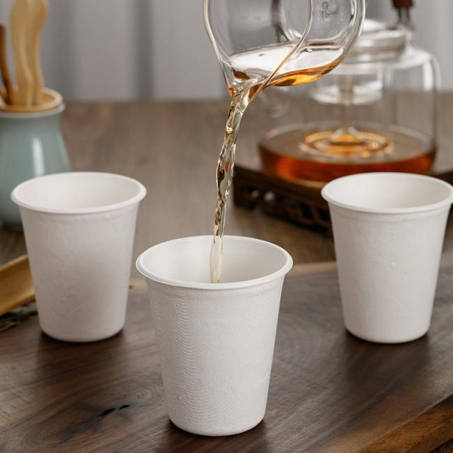 Disposable Eco Friendly Sugarcane Bagasse Single Wall Paper Coffee Cup with Lid