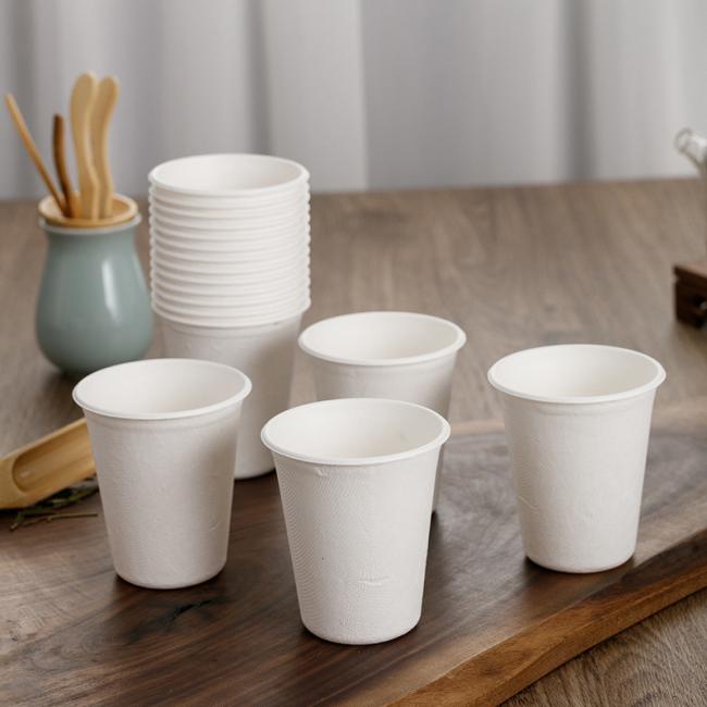 Biodegradable Eco Friendly Sugarcane Bagasse Cup with Lid