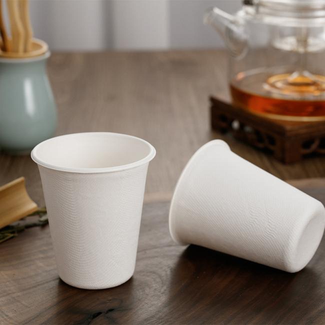 Biodegradable Eco Friendly Sugarcane Bagasse Cup with Lid