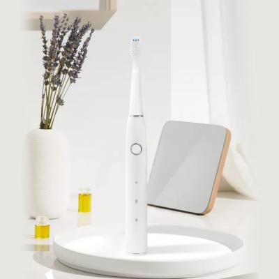 China Ultrasonic Auto Toothbrush For Adults for sale