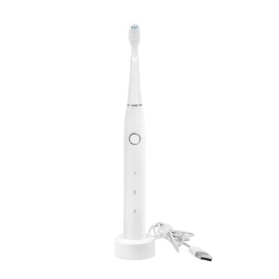 China Slim 500mAh Electric Sonic Toothbrush For Adults 1600times/M for sale