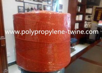 Chine Résistance à la rupture crue de la ficelle de presse de polypropylène de couleur verte 180LB pour la corde de bananier à vendre