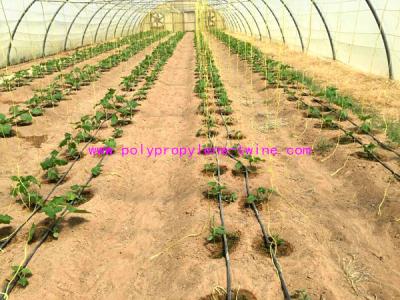 China 1g/m Stable Agricultural Tomato Tying Twine High Tenacity Different Colored for sale