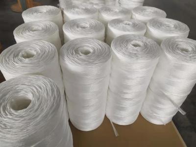 Chine La presse traitée aux UV de polypropylène de 8g/m tortillent le rond Hay Baler de Straw Twine Packing Rope For à vendre