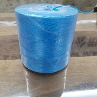 China Heavy Duty Blue Rafia Tomato Tying Garden Poly Twine 6,300 ft 3LB for Tying up your tomatoes for sale