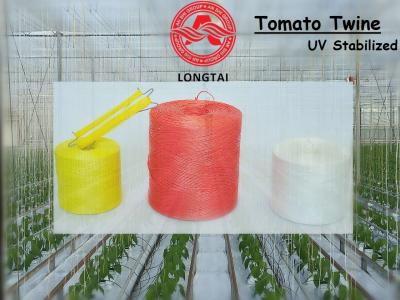 China 1mm 1.5mm Colorful Polypropylene PP Twine For Tomato Tying / Poly Twine Rope for sale