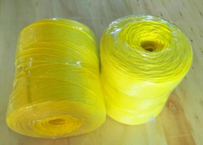 Chine La tomate UV de résistance de film fendu attachant pp tortillent la corde pour la serre chaude à vendre
