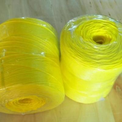 China UV Treated High Tenacity Polypropylene Twine , Poly Baler Twine Blue Red Color for sale