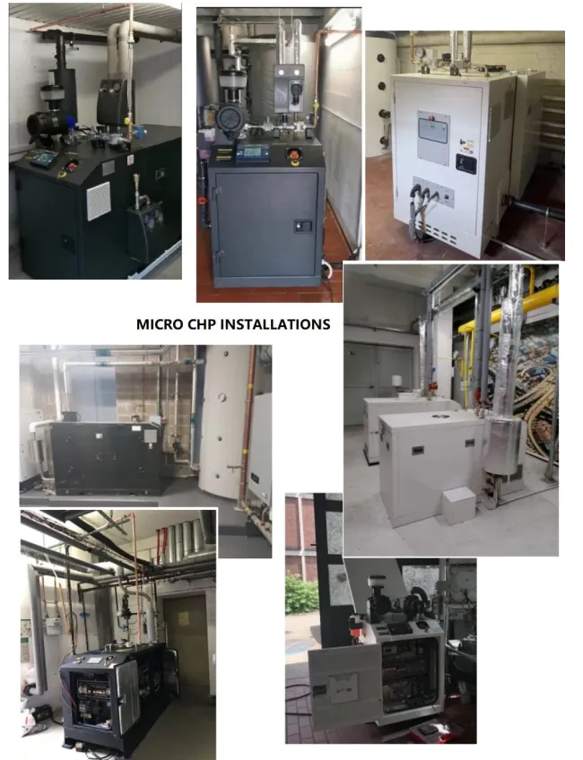 Premium High Efficiency Low Emissions Silent Natural Gas LPG Micro Bhkw Cogenerator unit
