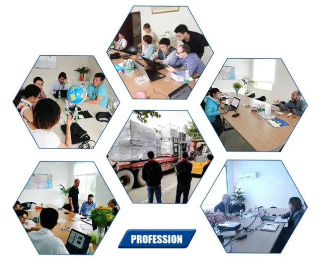 Customers visiting our Premium High Efficiency Low Emissions Silent Natural Gas LPG Micro Bhkw Cogenerator production facility