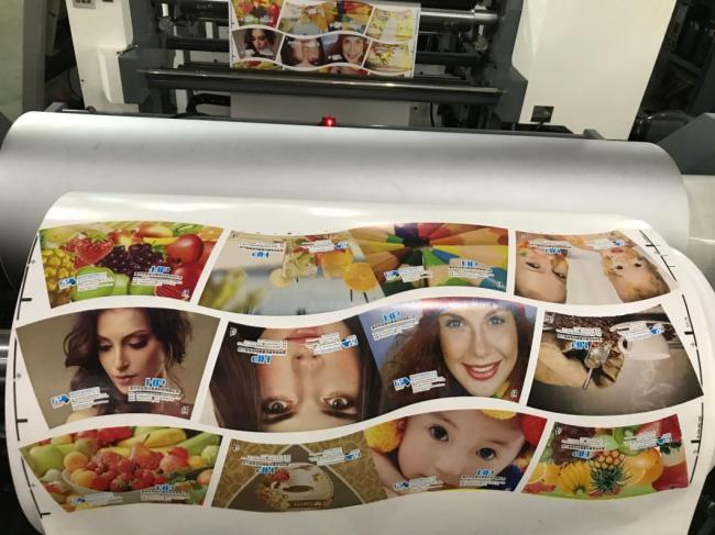 Non Woven Material Printing Equipment