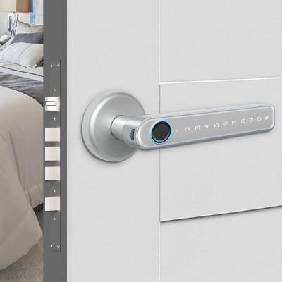 China Cerradura anti de la manija de la huella dactilar de la corrosión de la cerradura de puerta de la manija de TUYA Bluetooth Smart en venta